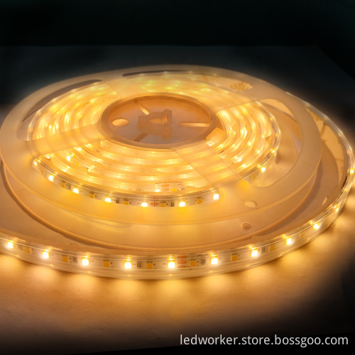 Bicolor Dual White LED Strip 2700-6500K CCT 2835LED Two Color LED Strip Light